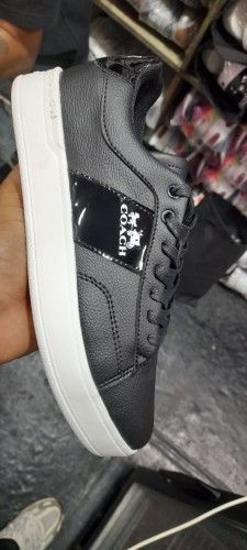 COACH CLASICO H