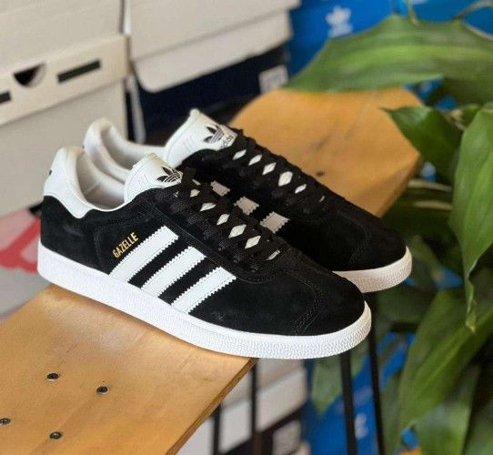 GAZELLE H